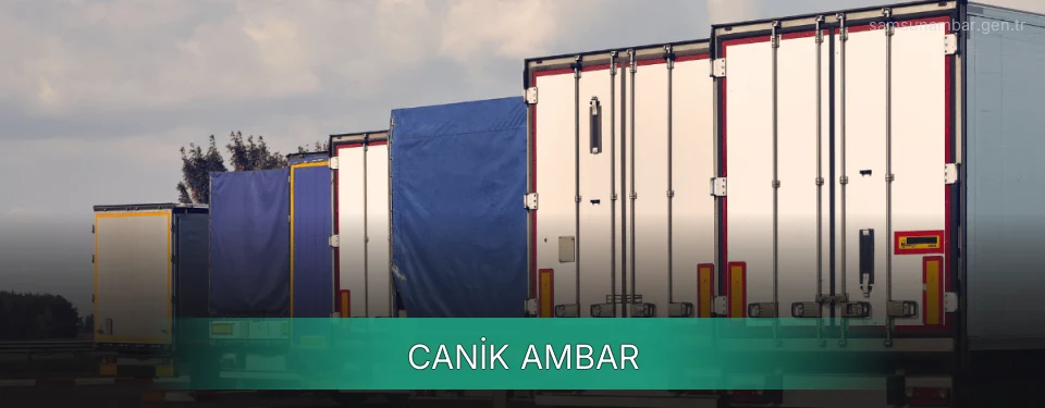 Canik Ambar